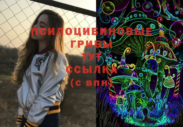 трава Вязьма
