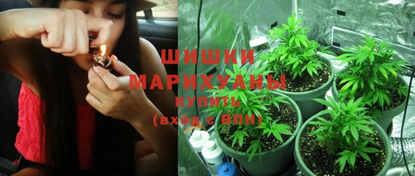 молекула духа Вязники